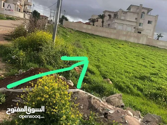 Residential Land for Sale in Irbid Natifa