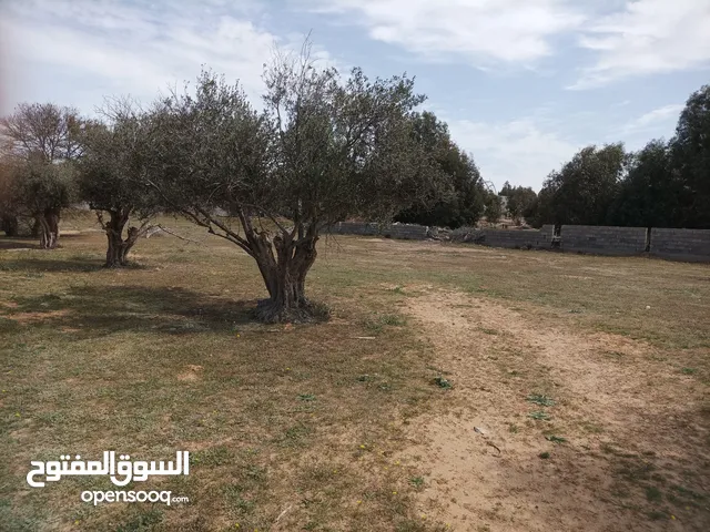 Residential Land for Sale in Al Maya Other