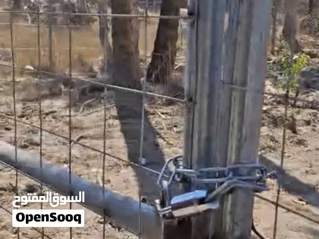 بستان طابو صرف للبيع في الحسينية