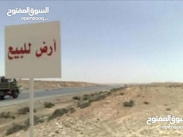 Farm Land for Sale in Basra Al-Jazzera