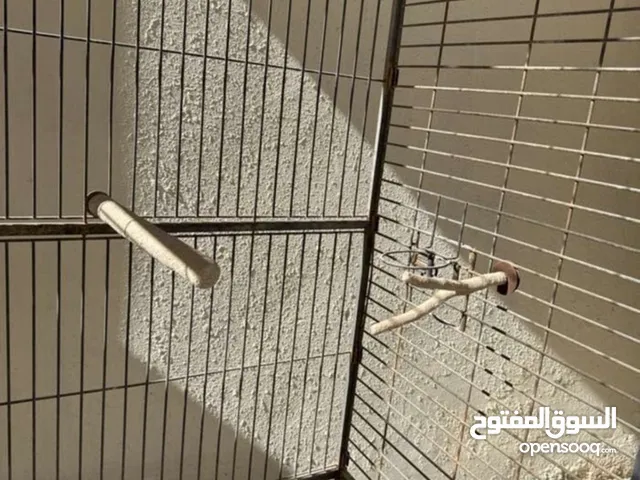 حالة القفص جيده