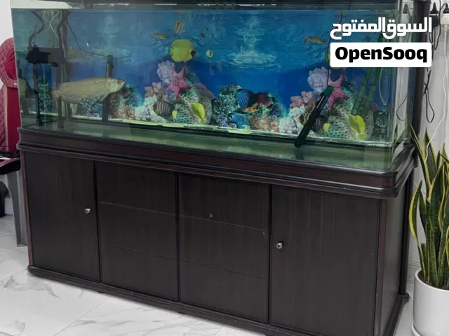 Fish tank with external filter for sale