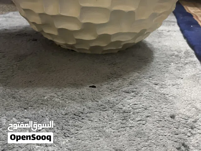 وعاء للنباتات