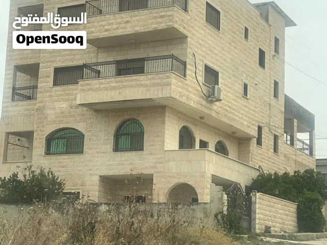 تاجير شقة في جنين
