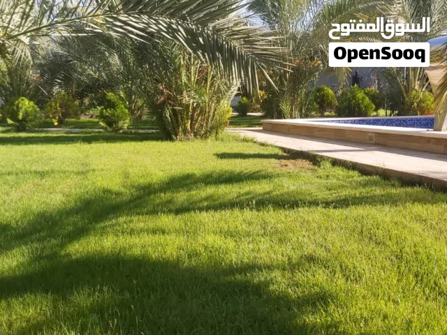 قطعة أرض للبيع في النوفليين جاهزة للبناء تصلح تجارية سكنية موقع ممتاز