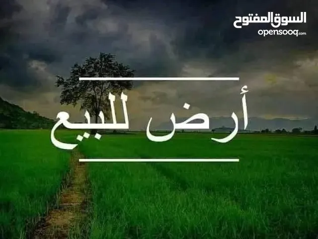 ارض للبيع بحي الريحان ثلاثة