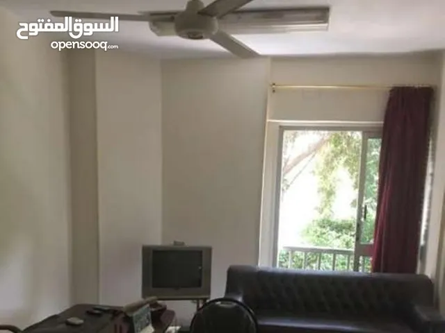 70 m2 Studio Apartments for Rent in Giza Dokki