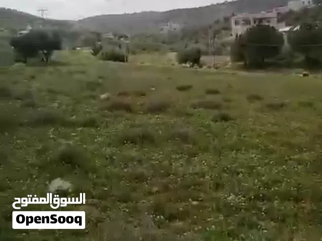 قطعة أرض للبيع صروت.. حوض السفوح..
