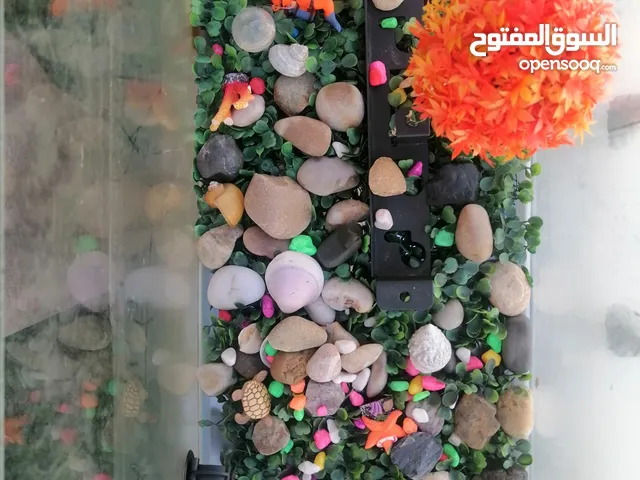 حوض سمك فارغ للبيع