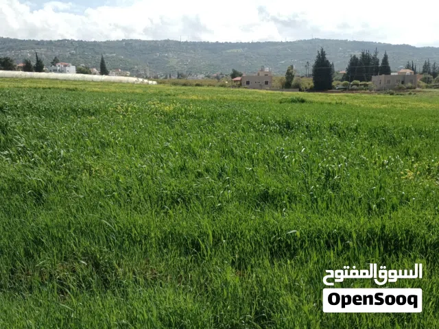 قطعة ارض زراعية