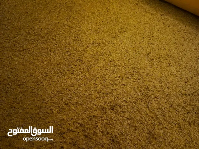 موكيته فروه ناعمه
