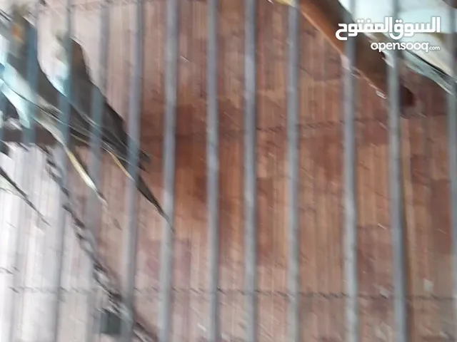 اربعة كوكتيل اتنين لاتيني و اتنين حبشي عمر 4 شهور