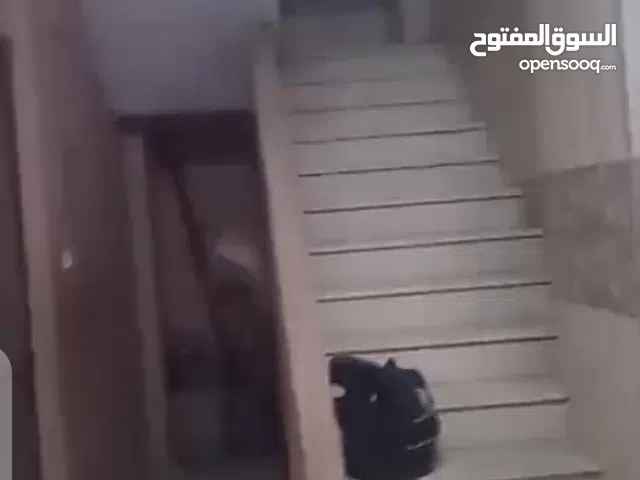 84 m2 2 Bedrooms Townhouse for Sale in Cairo Salam City