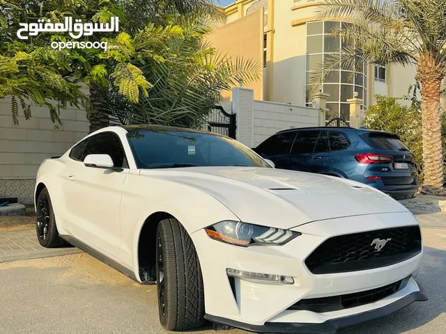 Mustang Eco Boost 2020