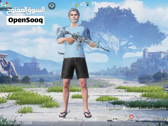 حساب بيجي اللبيع