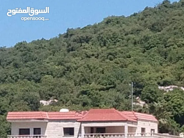 فيلا مستقلة مفروشة للايجار اليومي أو الاسبوعي أو الشهري  مطلة على جبال اشتفينا وعجلون عائلات فقط