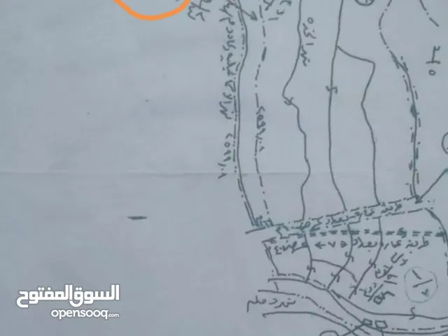 أرض زراعيه خصبه 172 دونم في ابو شطيب للبيع