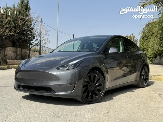 Tesla model Y performance 2022