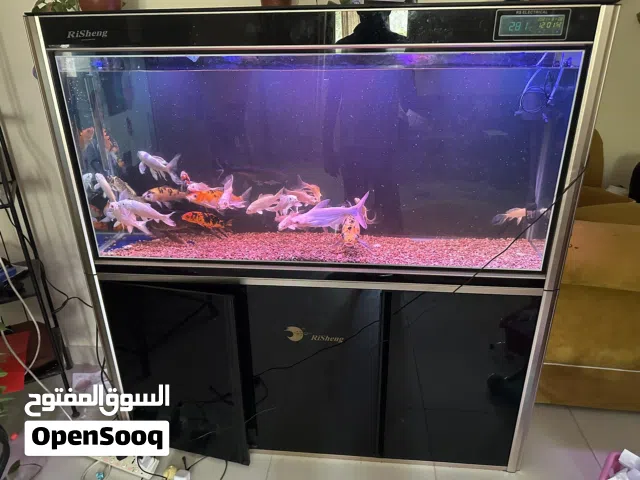 For sale tank and fish canister