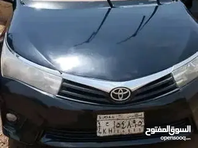 كوريلا موديل 2014