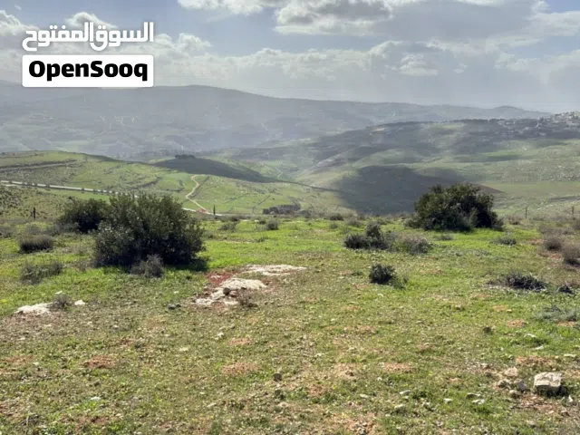 Farm Land for Sale in Jerash Unaybah