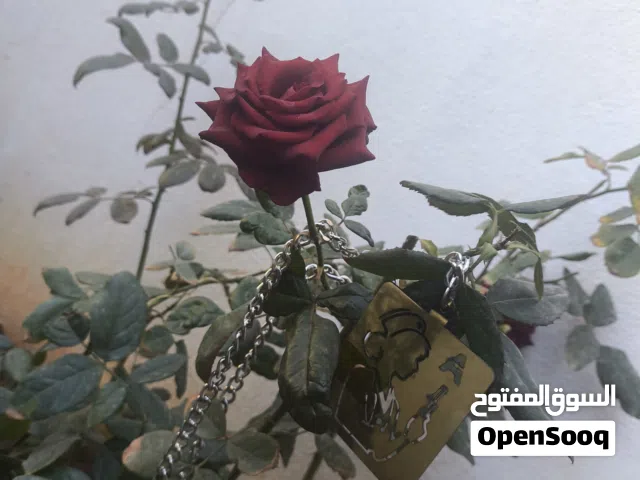  Others for sale in Benghazi