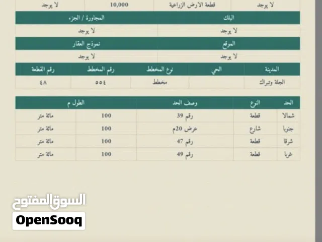 ارض للبيع في الجله وتبراك