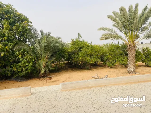 منزل لإيجار في عين زارة