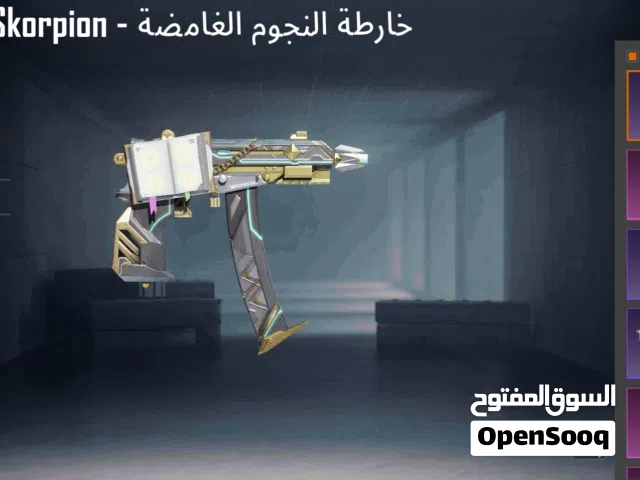 Pubg Accounts and Characters for Sale in Amman