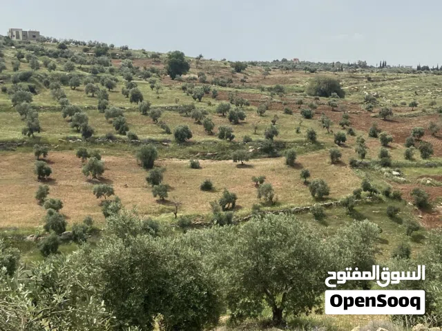 Farm Land for Sale in Salt Seehan