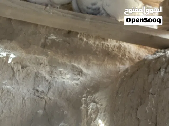 حمام زاجل منتج علا الشرط  العيال امس ماتو