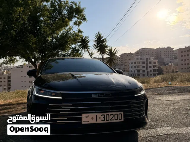 2025 بي واي دي ديستروير