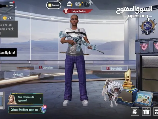 Pubg Accounts and Characters for Sale in Sharjah