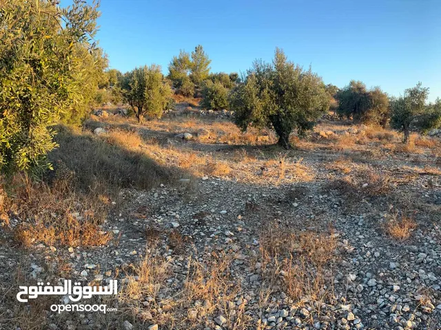 Mixed Use Land for Sale in Hebron Surif