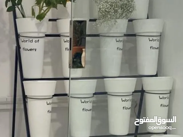 استاند فازات ورد بجودة ممتازة مستخدم اقل من سنة مناسب لمحلات او مشروع الورد