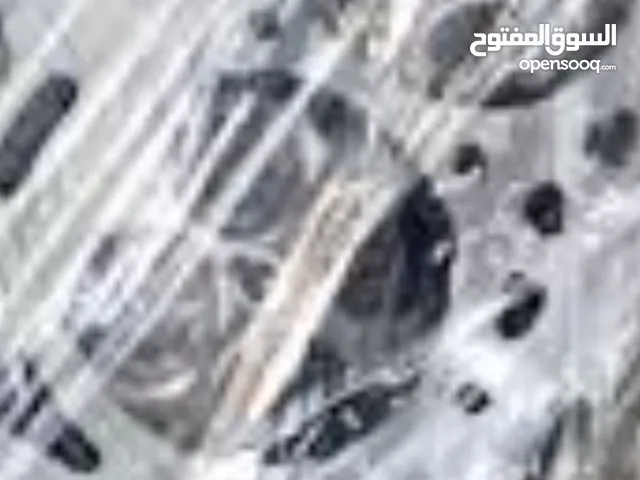 راس ماتور كيا سيفيا للبيع