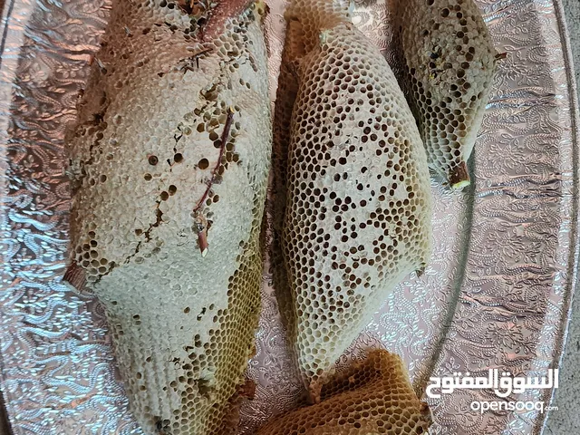 عسل للبيع سدر