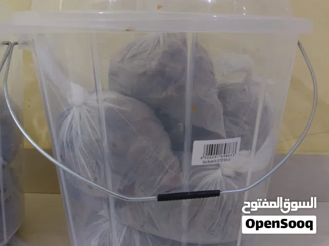 تمر خلاص عماني