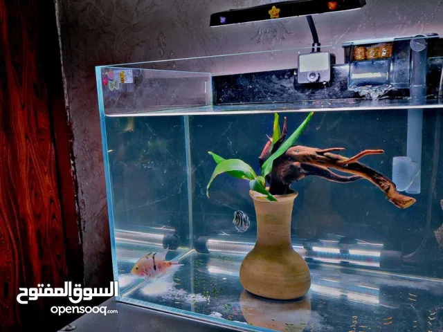 حوض الترا كلير عالي الوضوح40 سم كامل