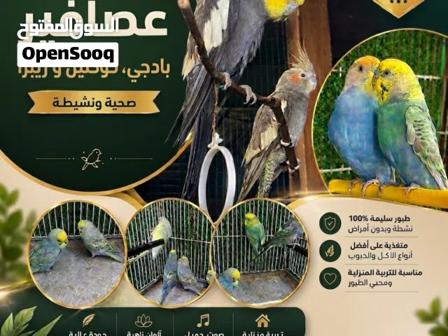 براكه للبيع
