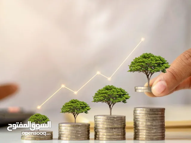مشاريع في مجال المتاجر الالكترونيه خطط واقعيه ومدروسه