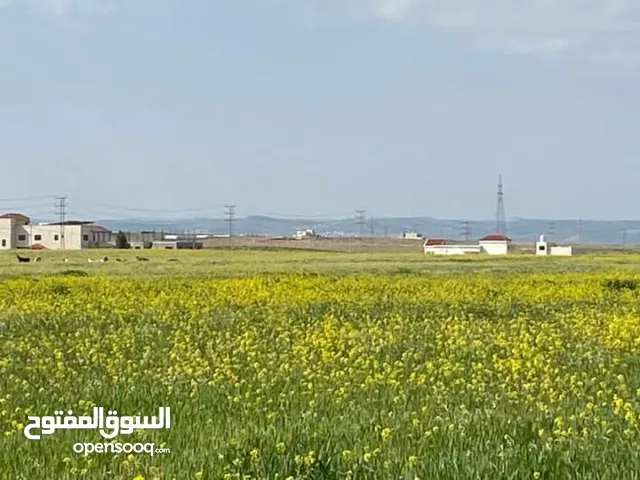 Residential Land for Sale in Ramtha Al Bweida