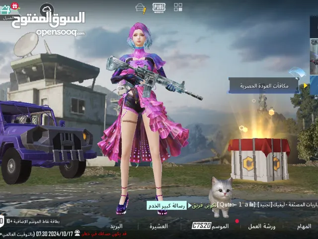 Pubg Accounts and Characters for Sale in Hama