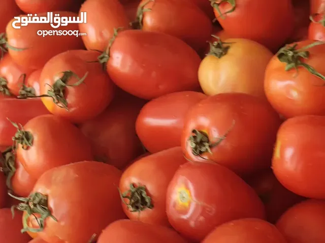 Furnished Supermarket in Sana'a Bayt Baws