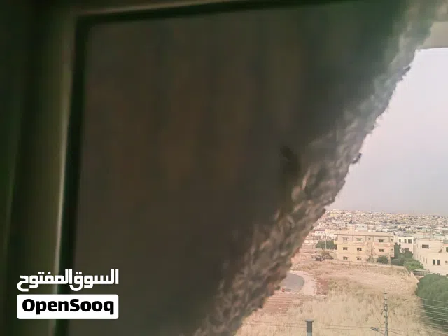خلية نحل للبيع