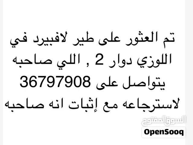تم العثور على طير لافبيرد ضايع