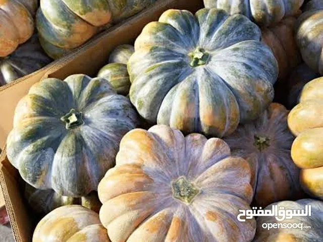 يقطين (قرع عسلي صنف عمه السلطان