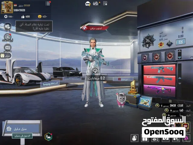 Pubg Accounts and Characters for Sale in Basra