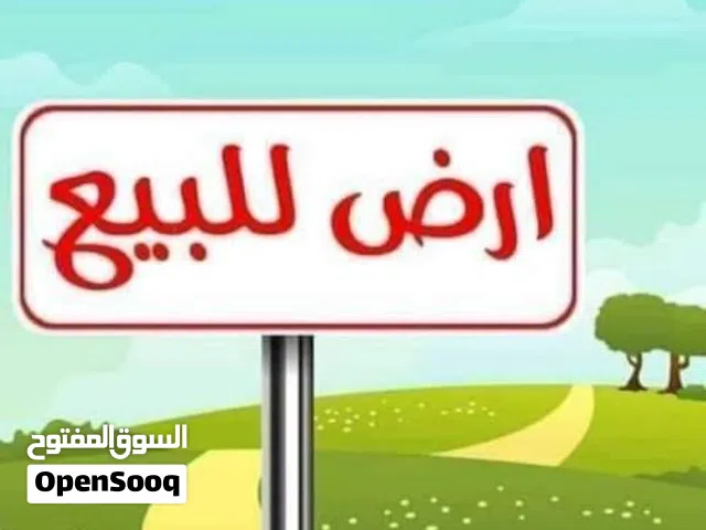 500متر ام مبروكه شارع الاستراحات