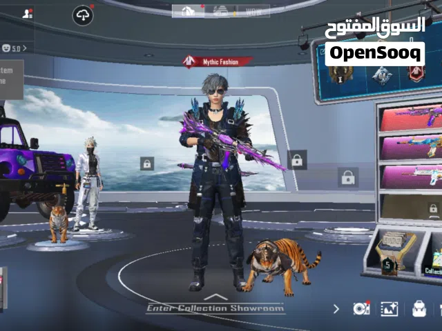 Pubg Accounts and Characters for Sale in Basra